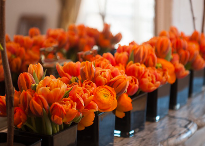 Bloom ! évènement professionnel